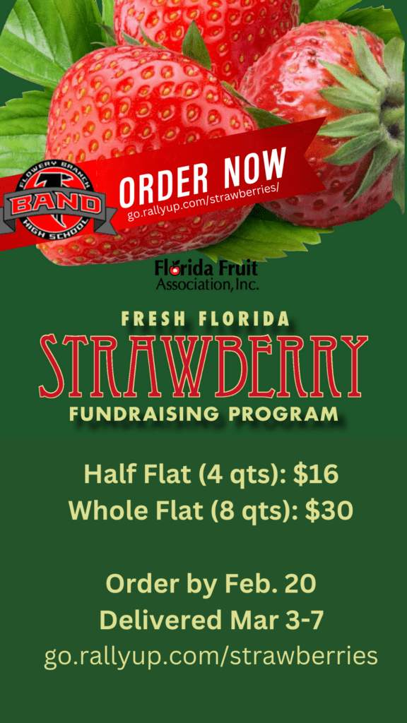 Strawberry Fundraiser Pricing Story